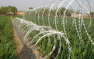 Razor Wire