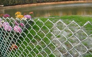 Chain Link Fence